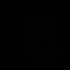 Meet your Posher, Gianna